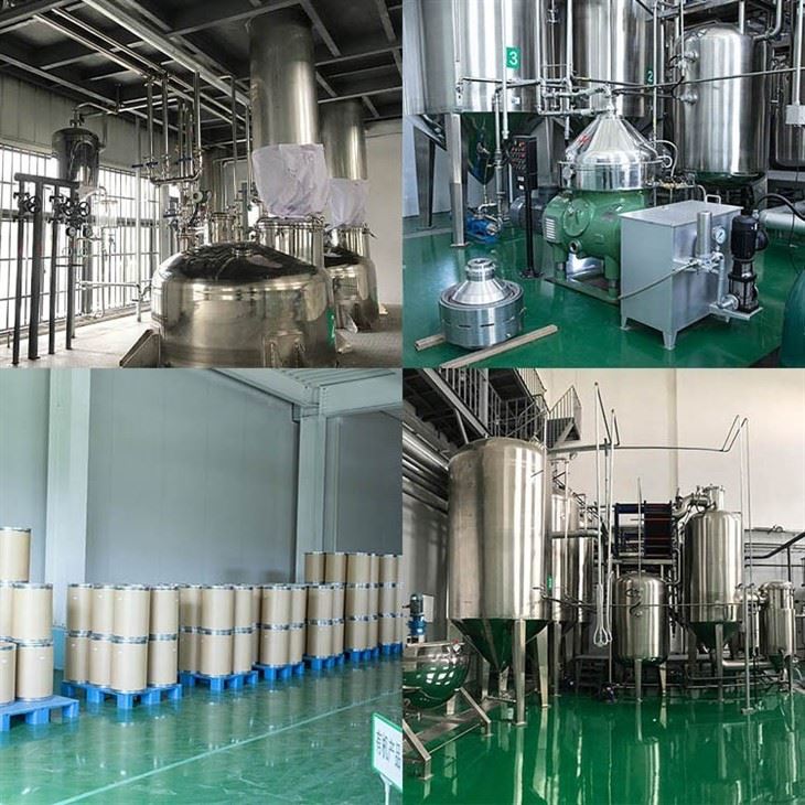 Organic Beet Root Juice Powder factory